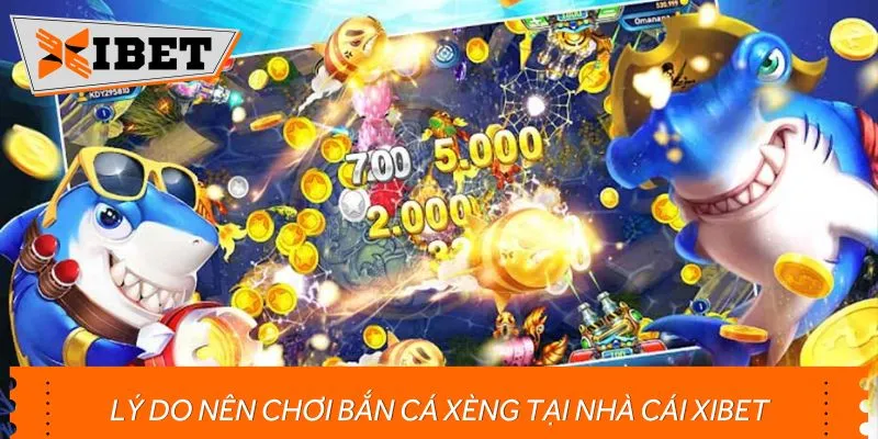 Lý do nên chơi bắn cá xèng tại nhà cái XIBET