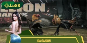 Đá Gà Đòn XIBET – Giải Trí Đỉnh Cao Thu Hút Hàng Ngàn Kê Thủ