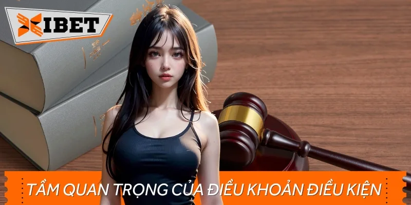 Vai trò của các chính sách trong điều khoản và điều kiện