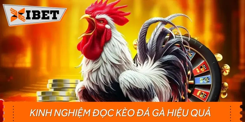 Một số kinh nghiệm hay giúp anh em cược đá gà có tỷ lệ thắng cao