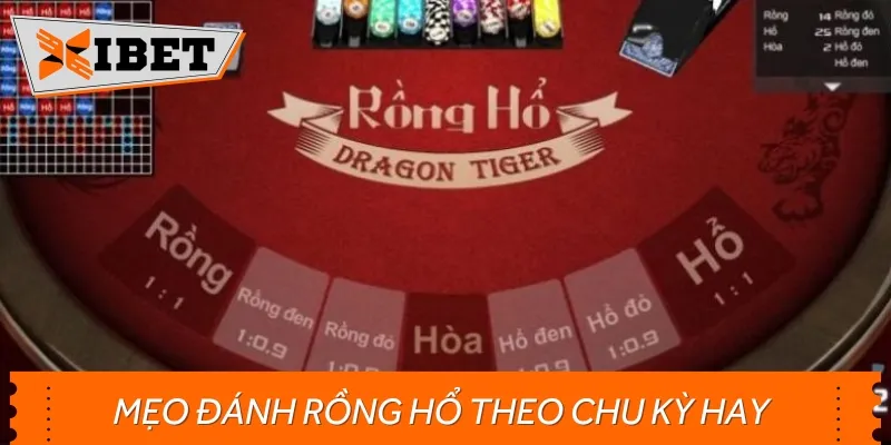 Các mẹo cược Rồng Hổ theo chu kỳ hiệu quả góp phần thu về lợi nhuận lớn