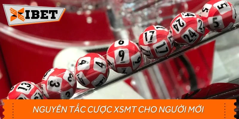 Nguyên tắc cược XSMT cho người mới